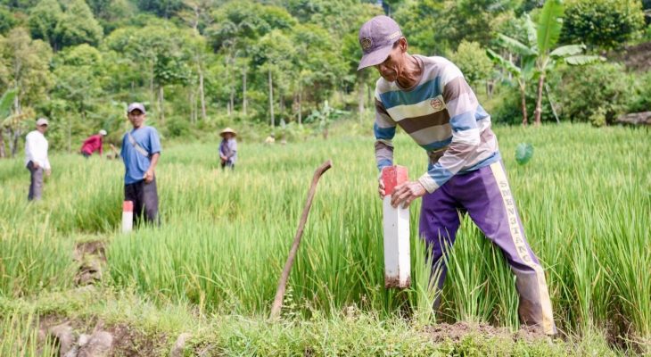 Pasang Patok Batas Tanah, Langkah Sederhana Cegah Sengketa dan Konflik Antarwarga