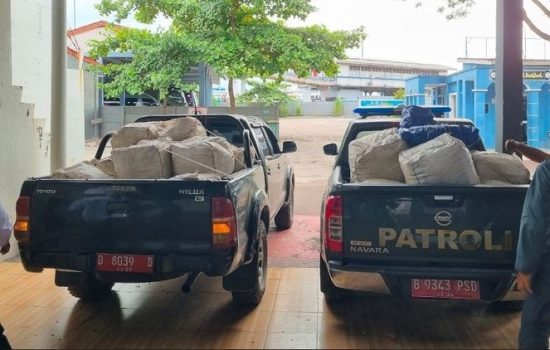 Gakkum Kehutanan Tahan Tersangka 3 Ton Sisik Trenggiling Tujuan Kamboja, Koordinasi INTERPOL Perkuat Pengungkapan Jaringan Lintas Negara