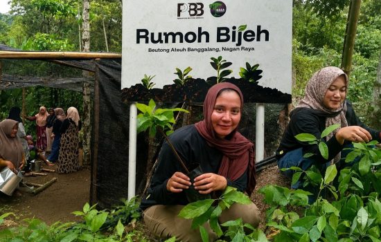 PBB dan HAkA Siapkan 40 Ribu Bibit Lokal Pulihkan Hutan Beutong Ateuh
